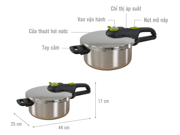 Nồi áp suất cơ Tefal P2534237