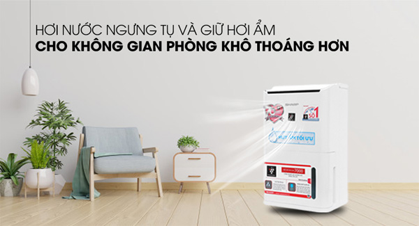 Sharp DW-D12A-W có khả năng ngưng tụ hơi nước, cho phòng thông thoáng, sạch sẽ