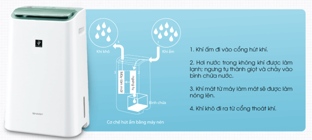 Hút ẩm hiệu quả bằng máy nén