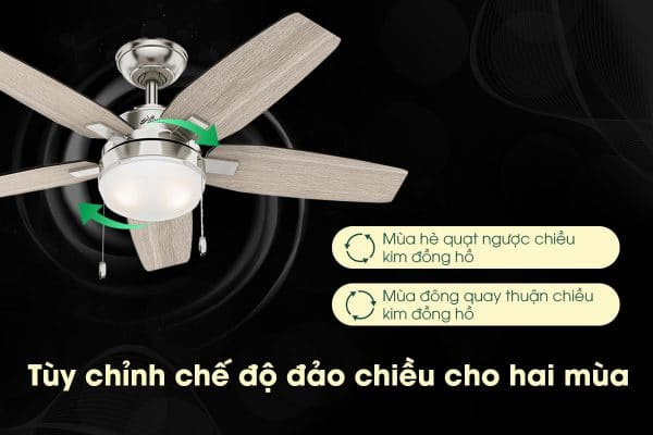 Chế độ đảo gió giúp quạt dùng được 4 mùa