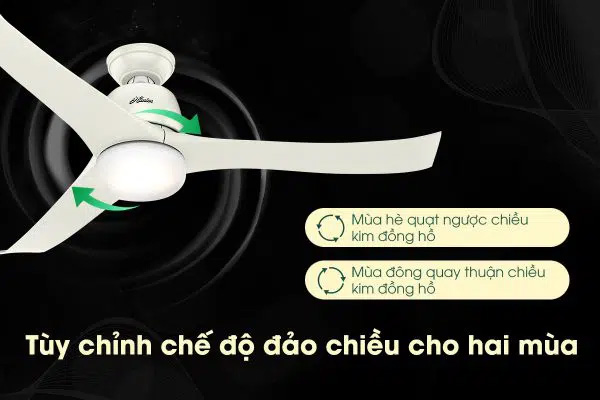 Chế độ đảo chiều giúp quạt sử dụng được quanh năm