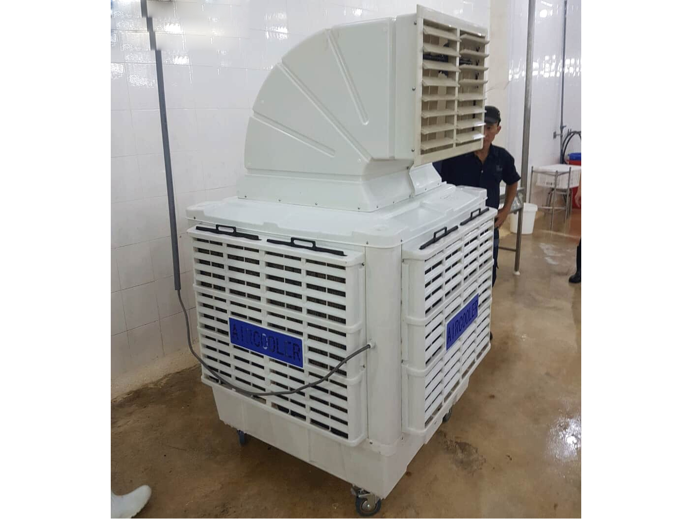 Máy làm mát Air Cooler KV18Y - 50 lít