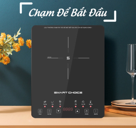 Bếp từ đơn