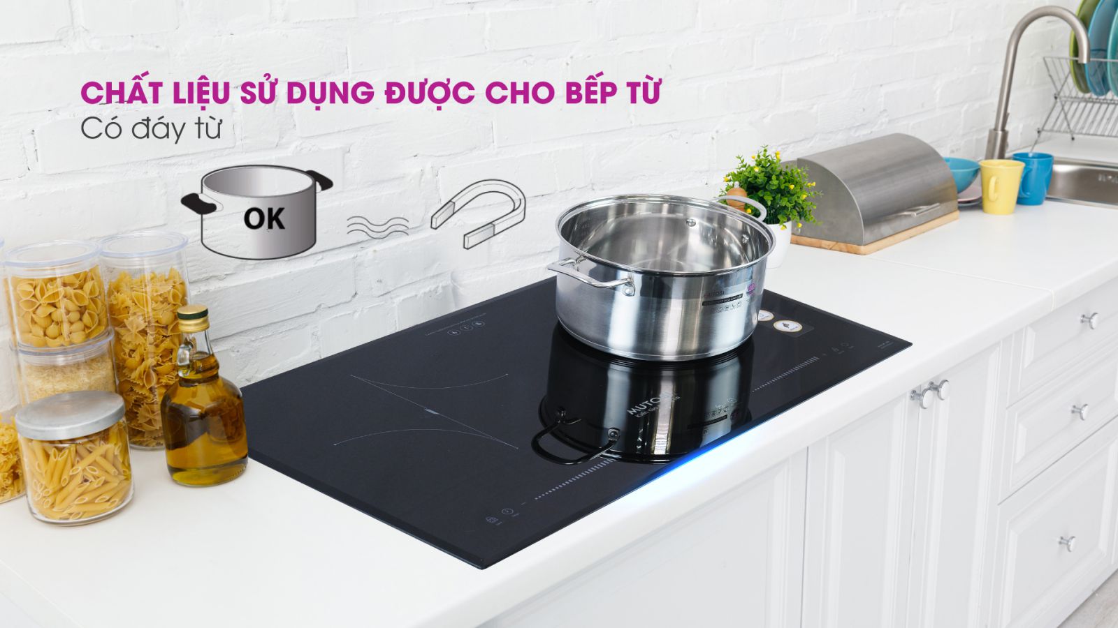 Bếp từ đôi  